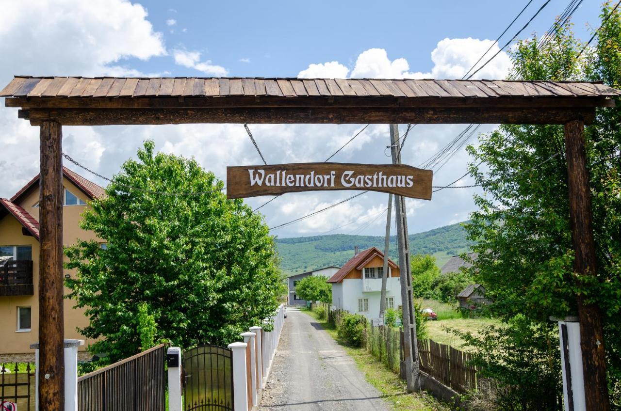 Casa De Oaspeti Wallendorf Bistrita Unirea المظهر الخارجي الصورة
