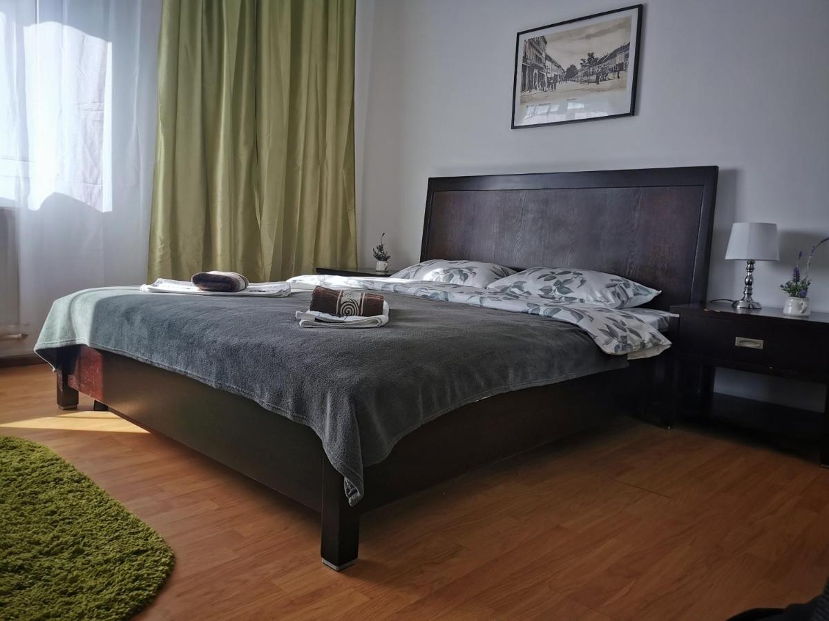 Casa De Oaspeti Wallendorf Bistrita Unirea المظهر الخارجي الصورة