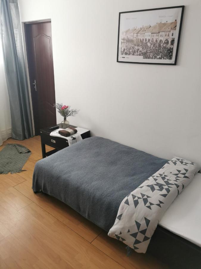 Casa De Oaspeti Wallendorf Bistrita Unirea المظهر الخارجي الصورة