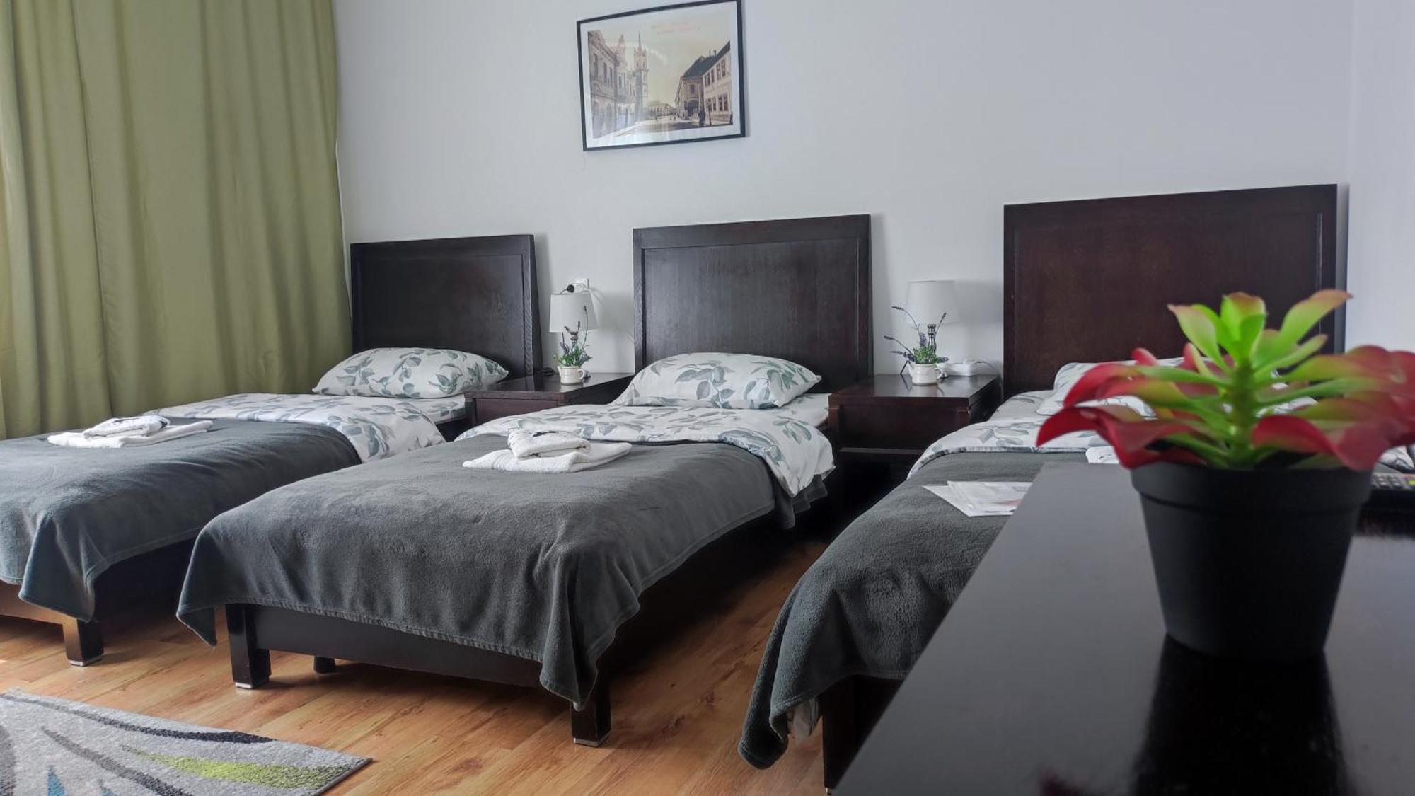 Casa De Oaspeti Wallendorf Bistrita Unirea الغرفة الصورة